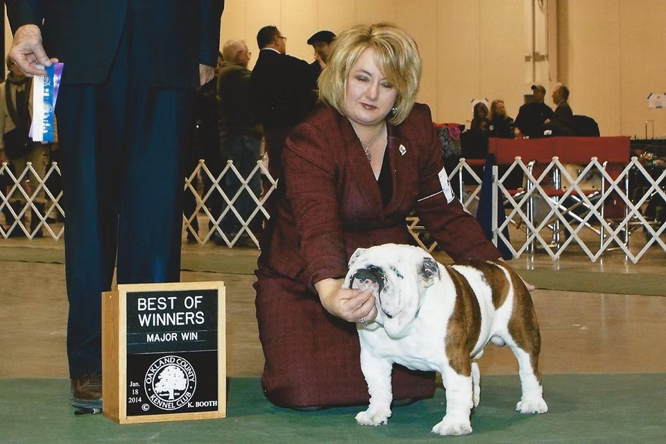 Exact Classic Dog Show Winner with Owner