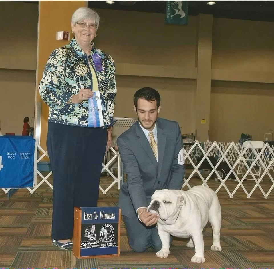 Bulldog With Show Judge and Owner