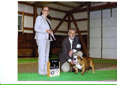 Champion Bulldog On Green Carpet with Judge