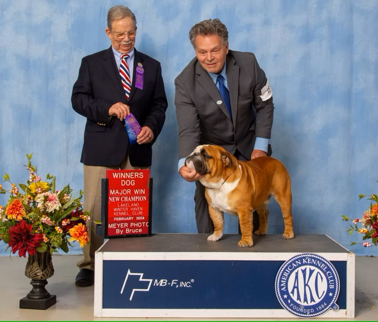 Bulldog With Show Judge and Owner