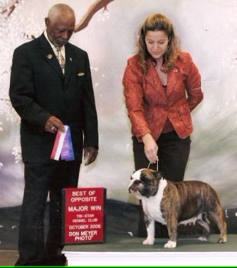 Bulldog With Show Judge and Owner