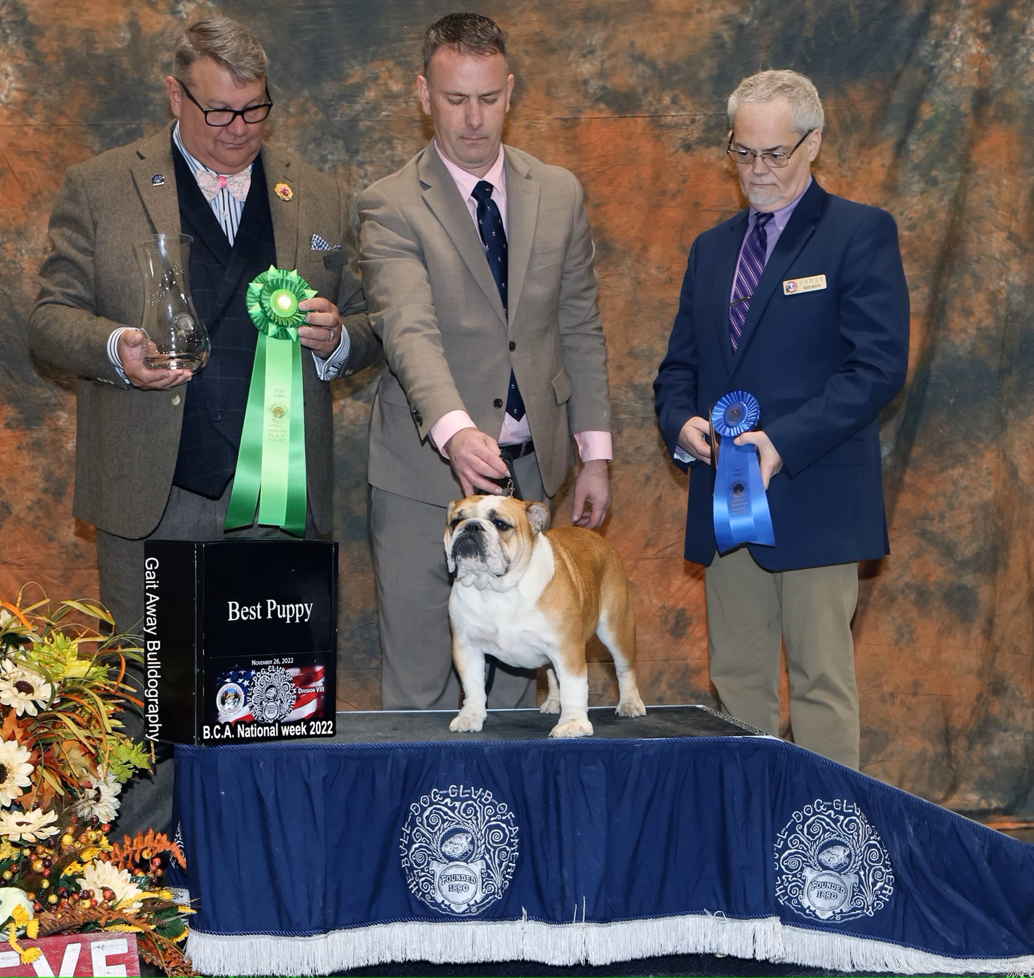 Bulldog With Show Judges and Owner