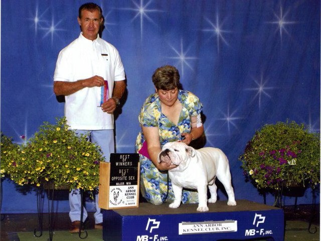 Bulldog With Show Judge and Owner