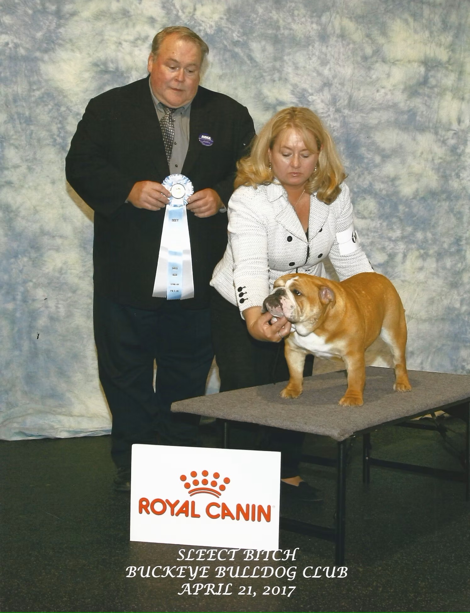 Bulldog With Show Judge and Owner