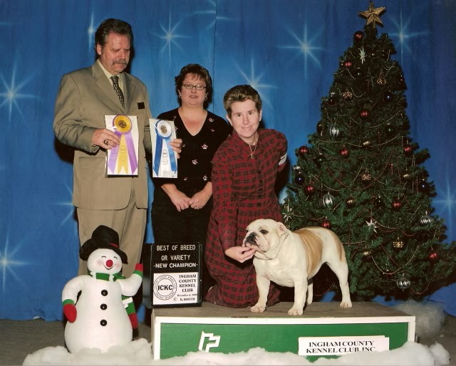 Bulldog With Show Judges and Owner