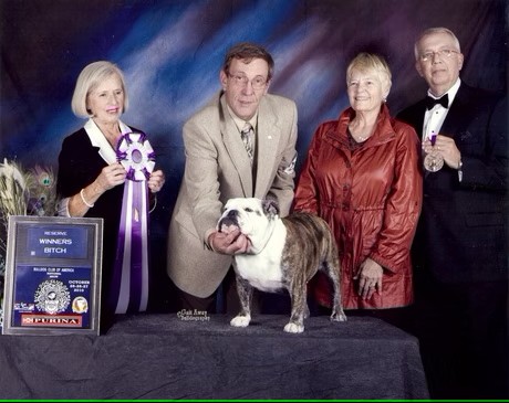 Bulldog With Show Judges and Owner