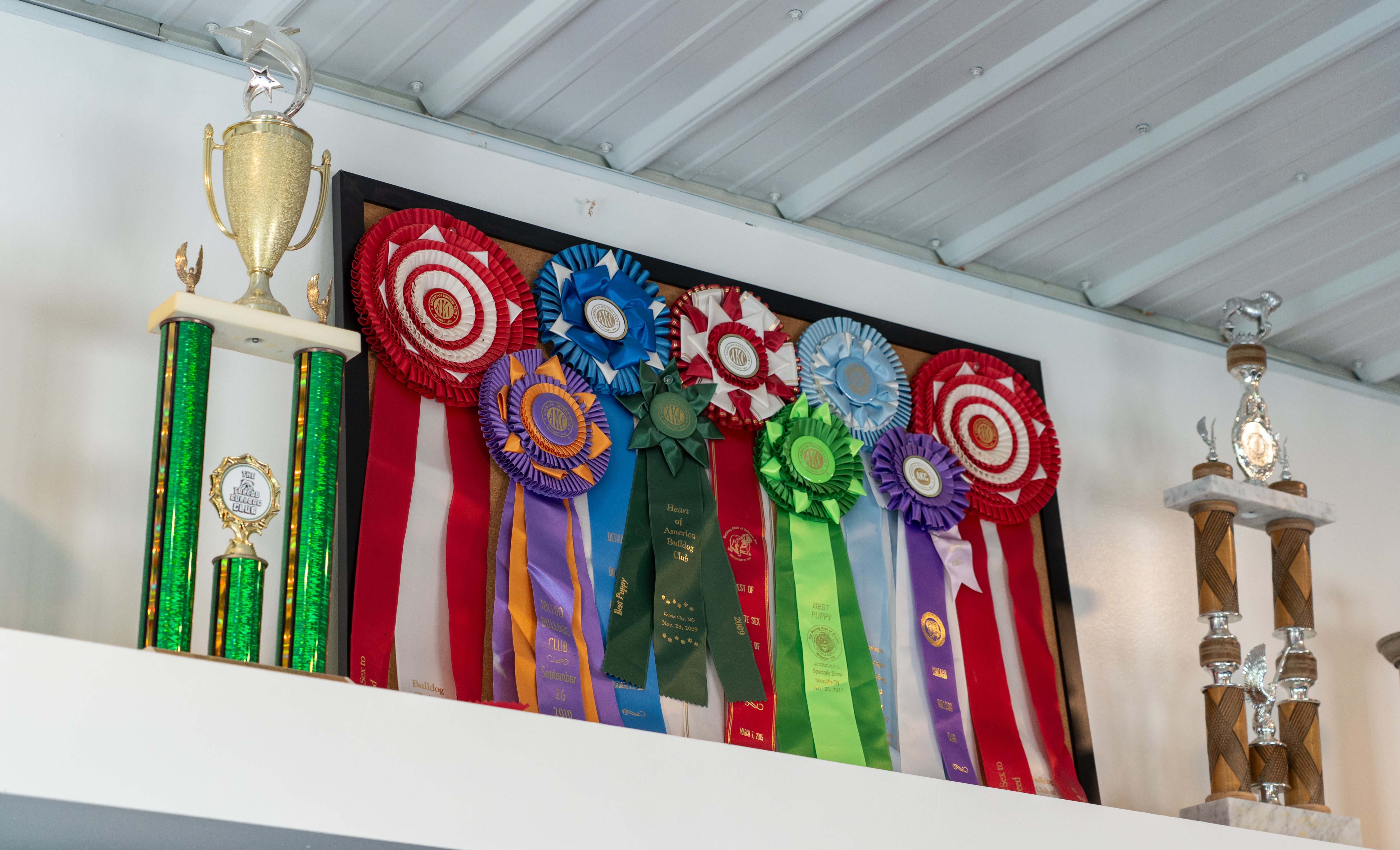 Awards won by Exact Classic champions