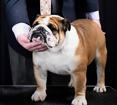 Geronimo.png?Revision=ZCv&Timestamp=7Tbf78