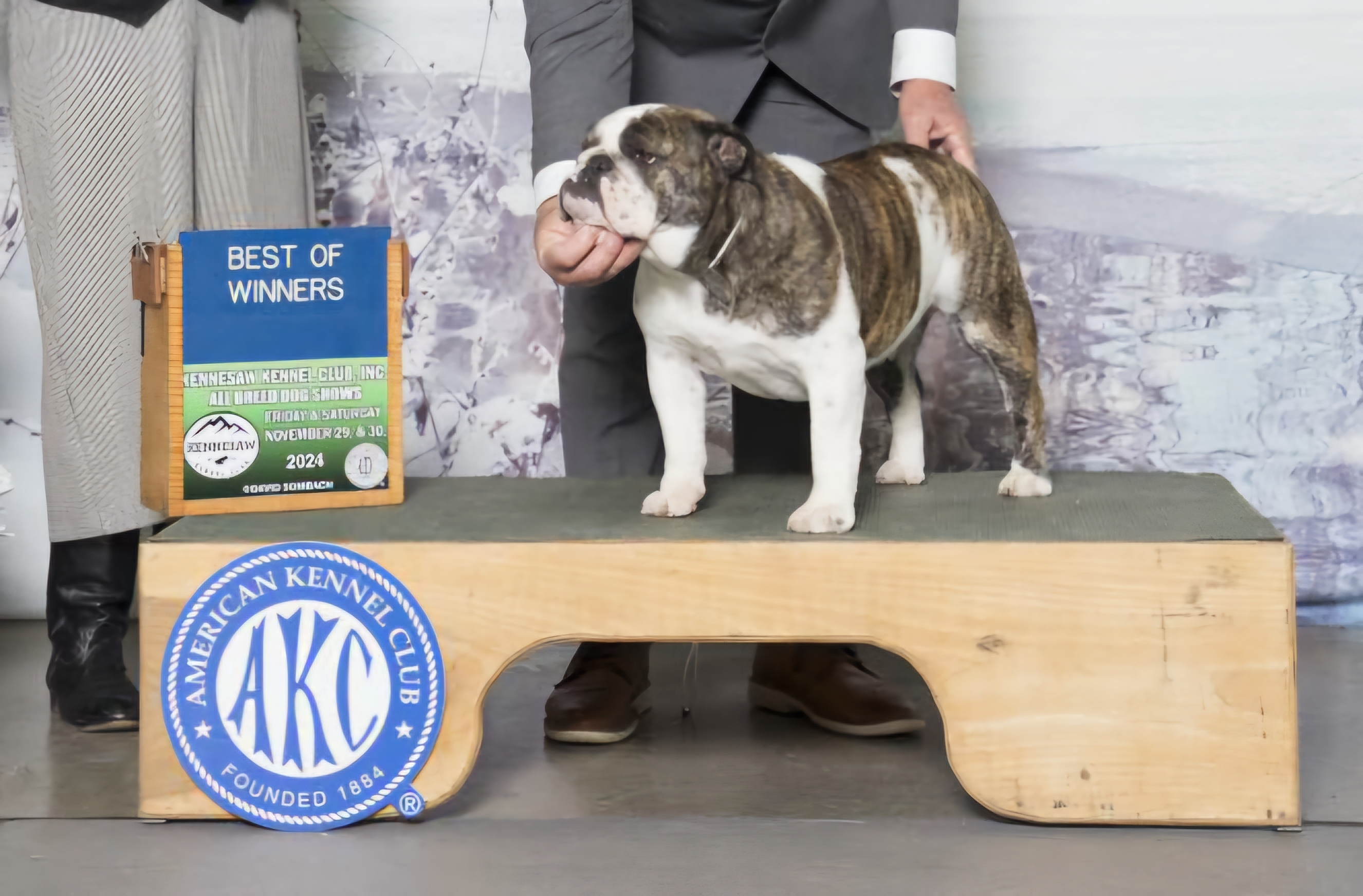 Exact Classic Little Debbie Exact Classic Little Debbie