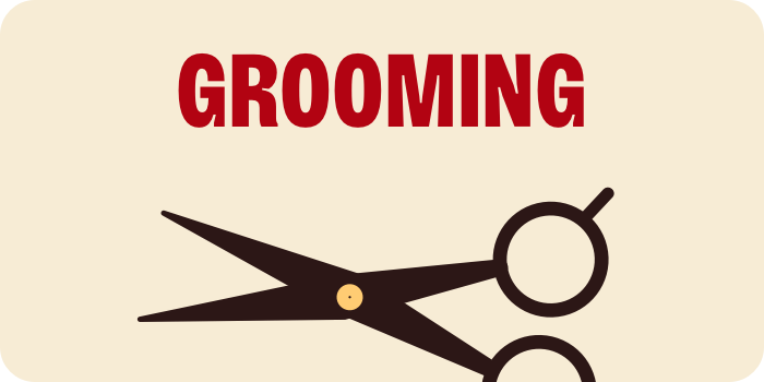 Grooming. Haircutting shears illustration.