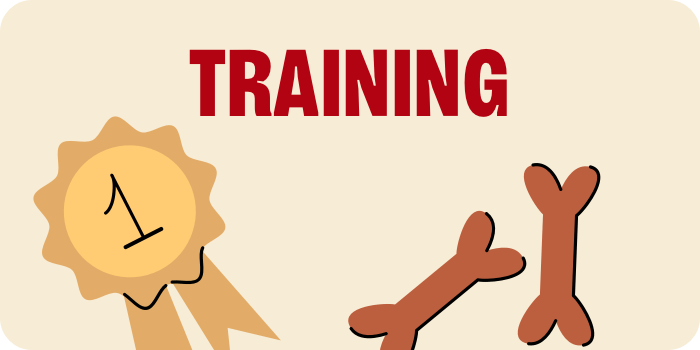 Training. Award ribbon with training treats illustration.