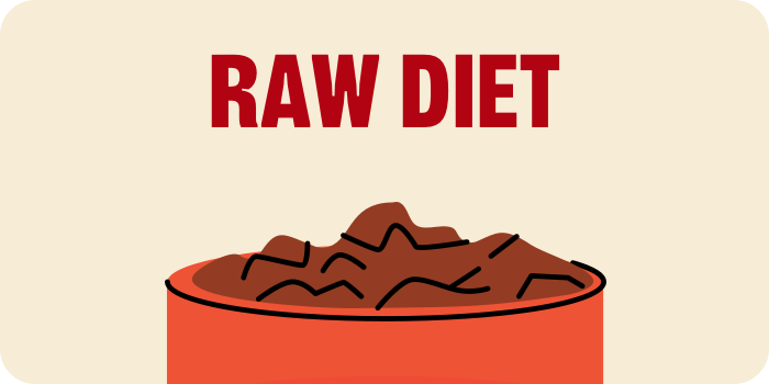 Raw Diet. Food in bowl illustration.