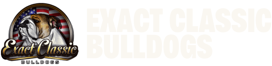 Home page for Exact Classic Bulldogs