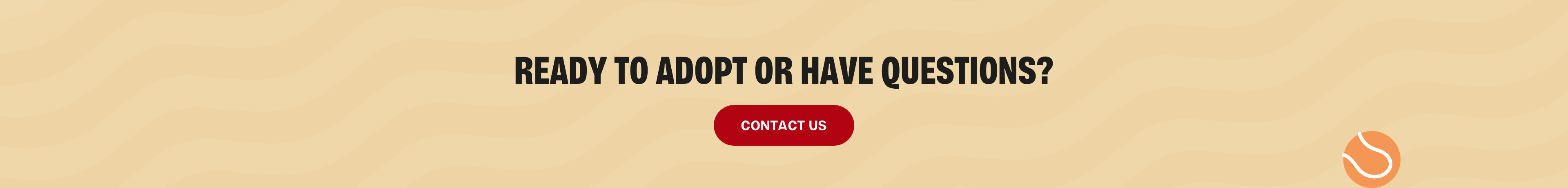 Ready to Adopt or Have Questions? Contact Us