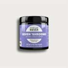 Seven 'Shroom - Four Leaf Rover supplement